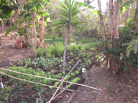 Garden at Pasajcap